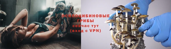 тгк Мегион
