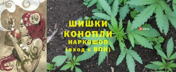 стафф Медногорск