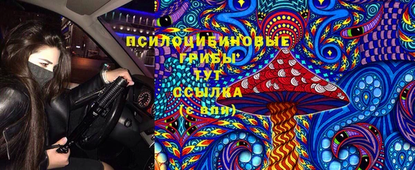 стафф Медногорск