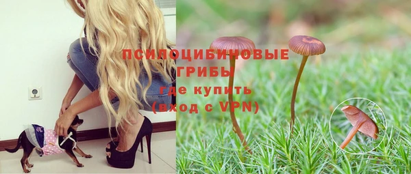 каннабис Медвежьегорск