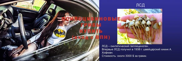 тгк Мегион