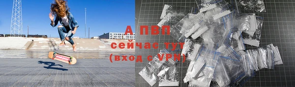 стафф Медногорск