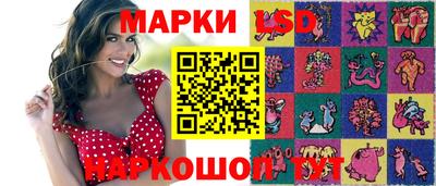 стафф Гатчина