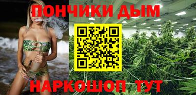 стафф Гатчина