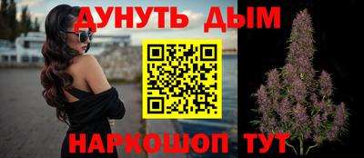 стафф Гатчина