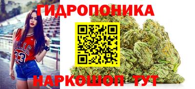 гашик Абинск