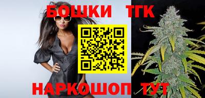 стафф Гатчина