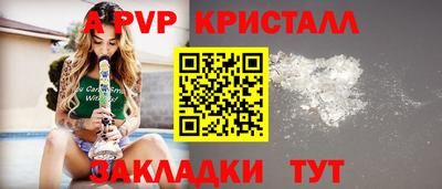 стафф Гатчина