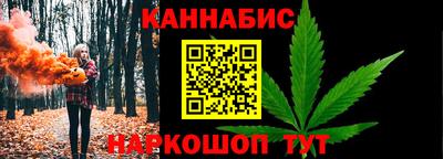 стафф Гатчина
