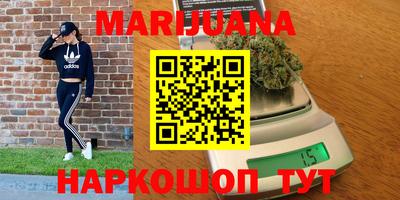 стафф Гатчина