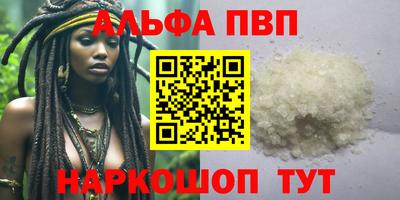 стафф Гатчина