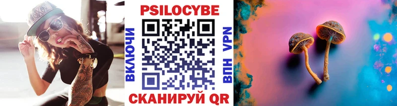 где купить наркотик  ссылка на мегу   Псилоцибиновые грибы MAGIC MUSHROOMS  Александров 