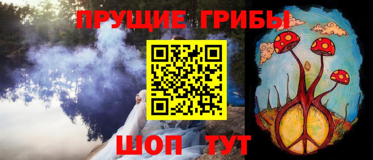 Александров  Псилоцибиновые грибы Psilocybine cubensis  Вход с VPN 