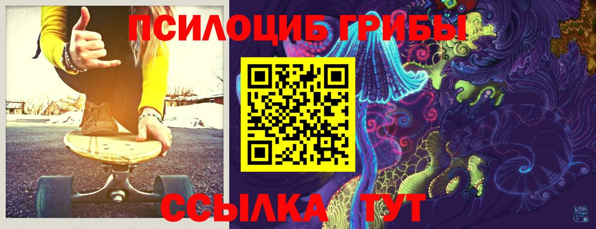 Александров  Псилоцибиновые грибы MAGIC MUSHROOMS  Псилоцибиновые грибы Magic Shrooms  Вход с VPN 
