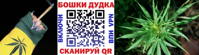 Канабис SATIVA & INDICA  блэк спрут ССЫЛКА  Александров 