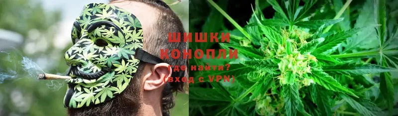 даркнет официальный сайт  Александров  Бошки Шишки OG Kush  цены наркотик 